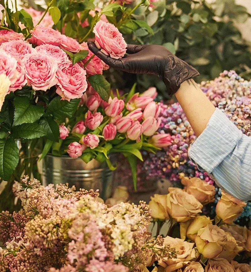 composition florale près de Ferrensac 